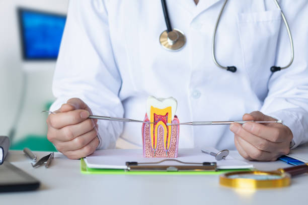 Best Broken or Cracked Tooth Emergency Dentist in , TN
